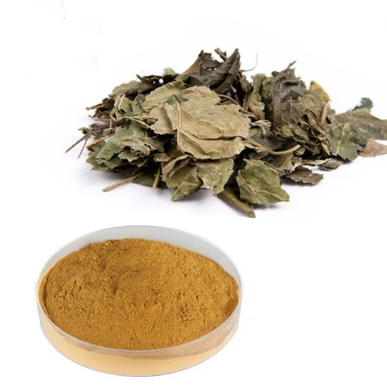 Polvere di estratto di lecitina di soia di soia biologica di alta qualità Polvere di estratto di soia