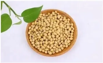 Proteine ​​Nutrienti Con Texture Lavorazione Della Carne Proteine ​​Di Soia Isolate